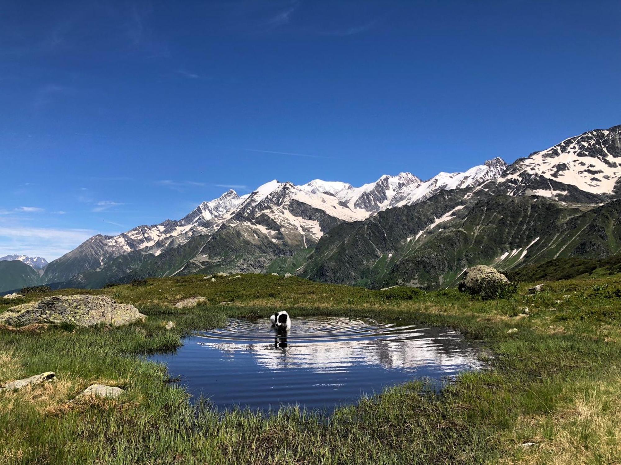 En Pleine Nature Avec 2 Pour 6 Ou 8 Qui Peuvent Réunis En 1 Pour 14 Personnes *