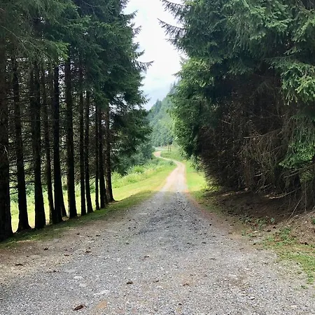 Chalet Riviere Du Bon Nant Location De 6 A 14 Personnes En Haute Savoie Saint-Gervais-les-Bains Buitenkant foto