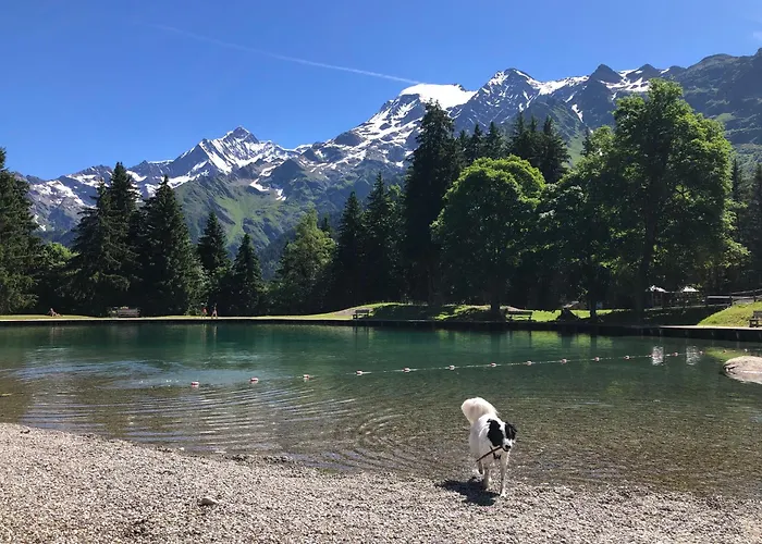 Chalet en pleine nature avec 2 appartements pour 6 ou 8 qui peuvent être réunis en 1 pour 14 personnes