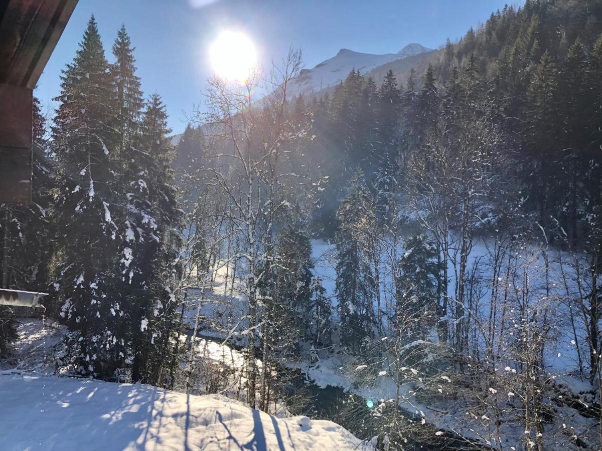 En Pleine Nature Avec 2 Pour 6 Ou 8 Qui Peuvent Réunis En 1 Pour 14 Personnes Appartement