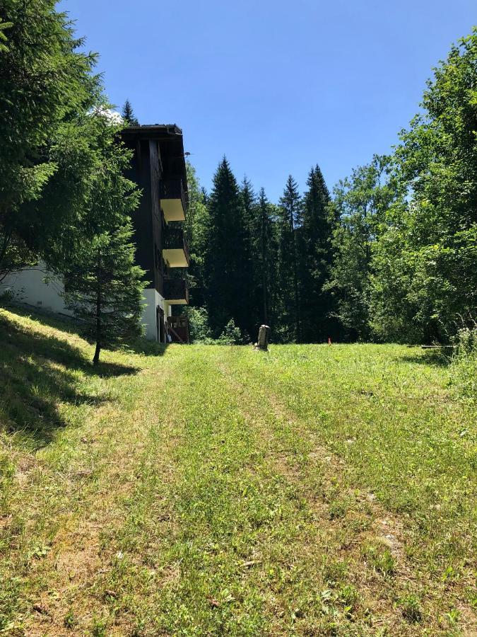 En Pleine Nature Avec 2 Pour 6 Ou 8 Qui Peuvent Réunis En 1 Pour 14 Personnes Appartement