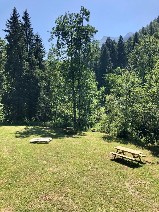 En Pleine Nature Avec 2 Pour 6 Ou 8 Qui Peuvent Réunis En 1 Pour 14 Personnes Appartement *