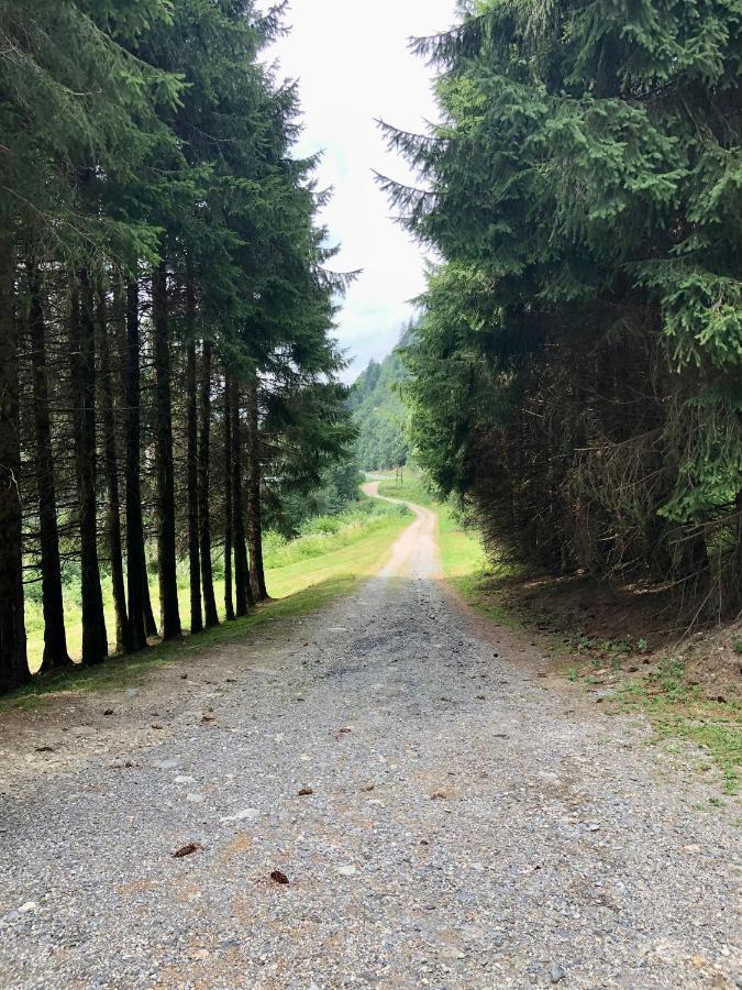 Appartement En Pleine Nature Avec 2 Pour 6 Ou 8 Qui Peuvent Réunis En 1 Pour 14 Personnes