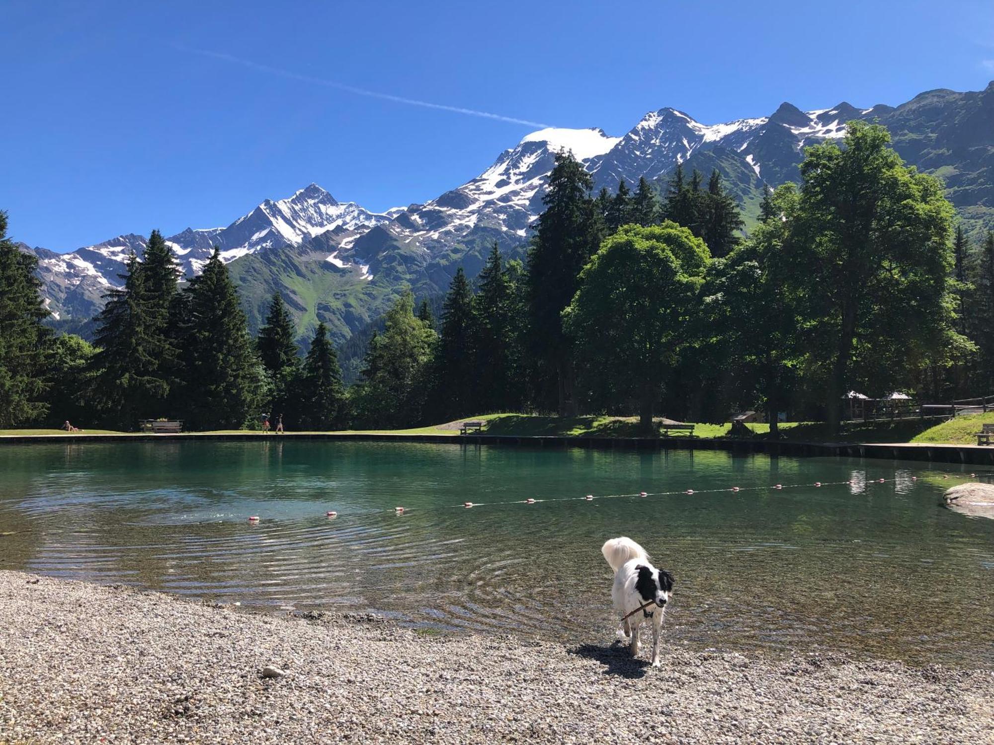 En Pleine Nature Avec 2 Pour 6 Ou 8 Qui Peuvent Réunis En 1 Pour 14 Personnes