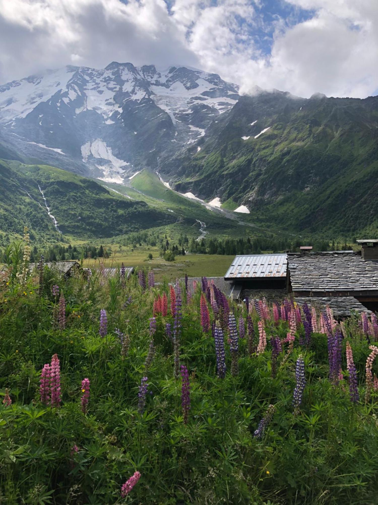 En Pleine Nature Avec 2 Pour 6 Ou 8 Qui Peuvent Réunis En 1 Pour 14 Personnes Saint-Gervais-les-Bains