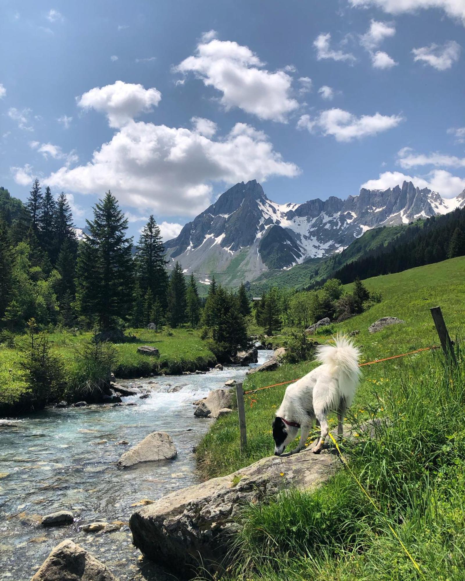 Appartement En Pleine Nature Avec 2 Pour 6 Ou 8 Qui Peuvent Réunis En 1 Pour 14 Personnes Saint-Gervais-les-Bains